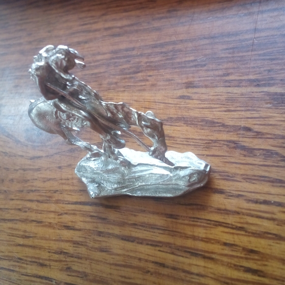 Indian Rider - Picture 3 of 4